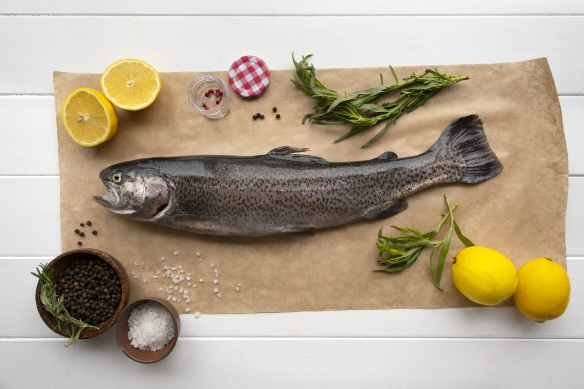 steelhead trout vs salmon