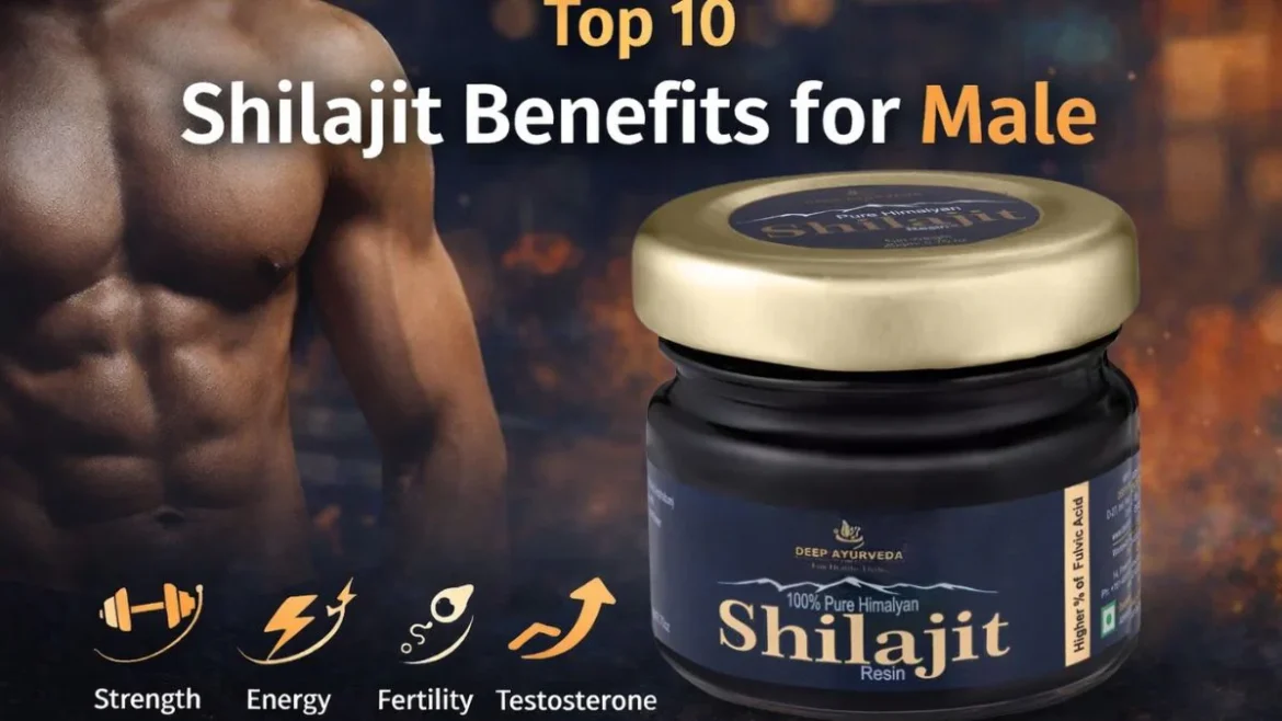 shilajit benefits for male