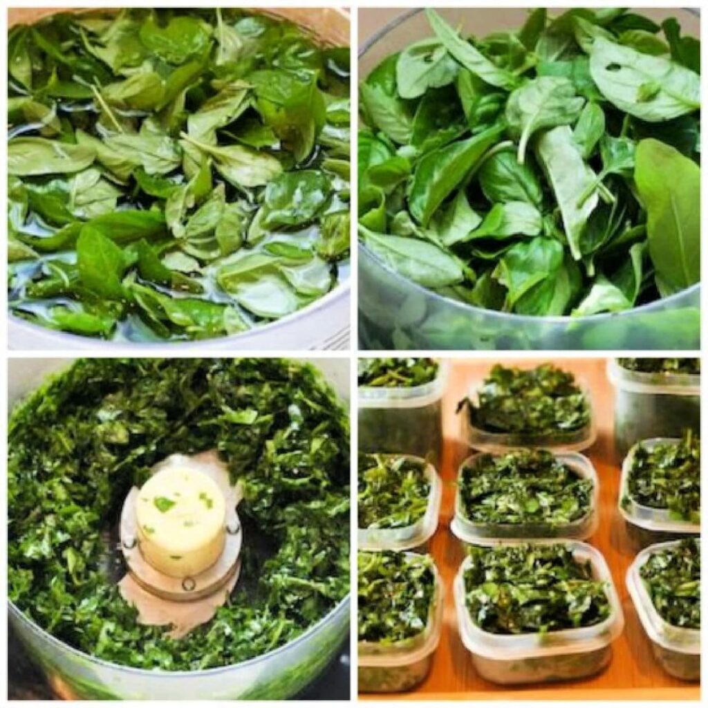 how to freeze fresh basil